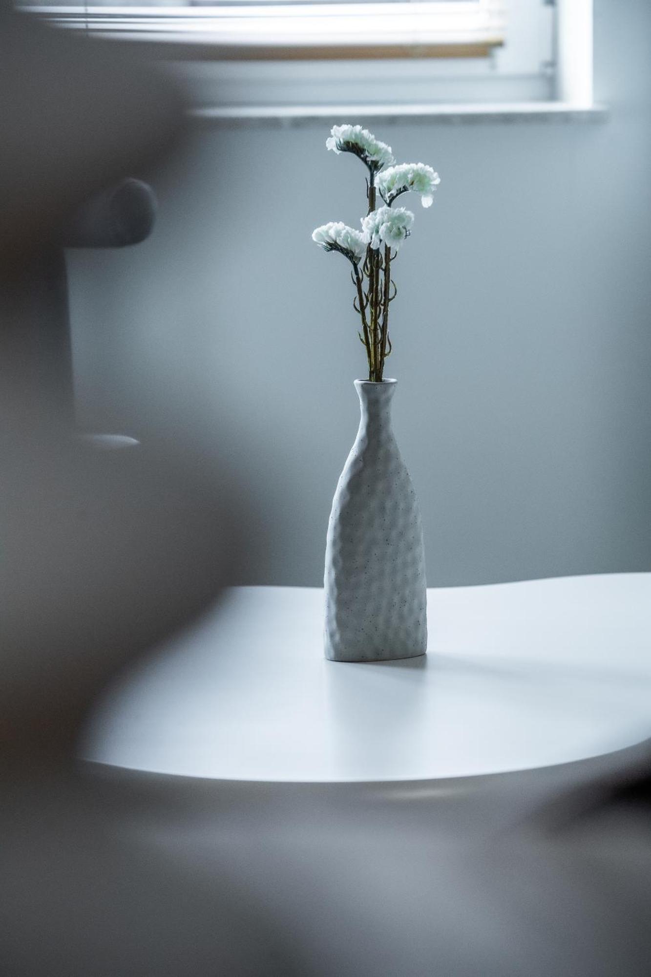 Apartamenty Balijskie Gliwice Buitenkant foto