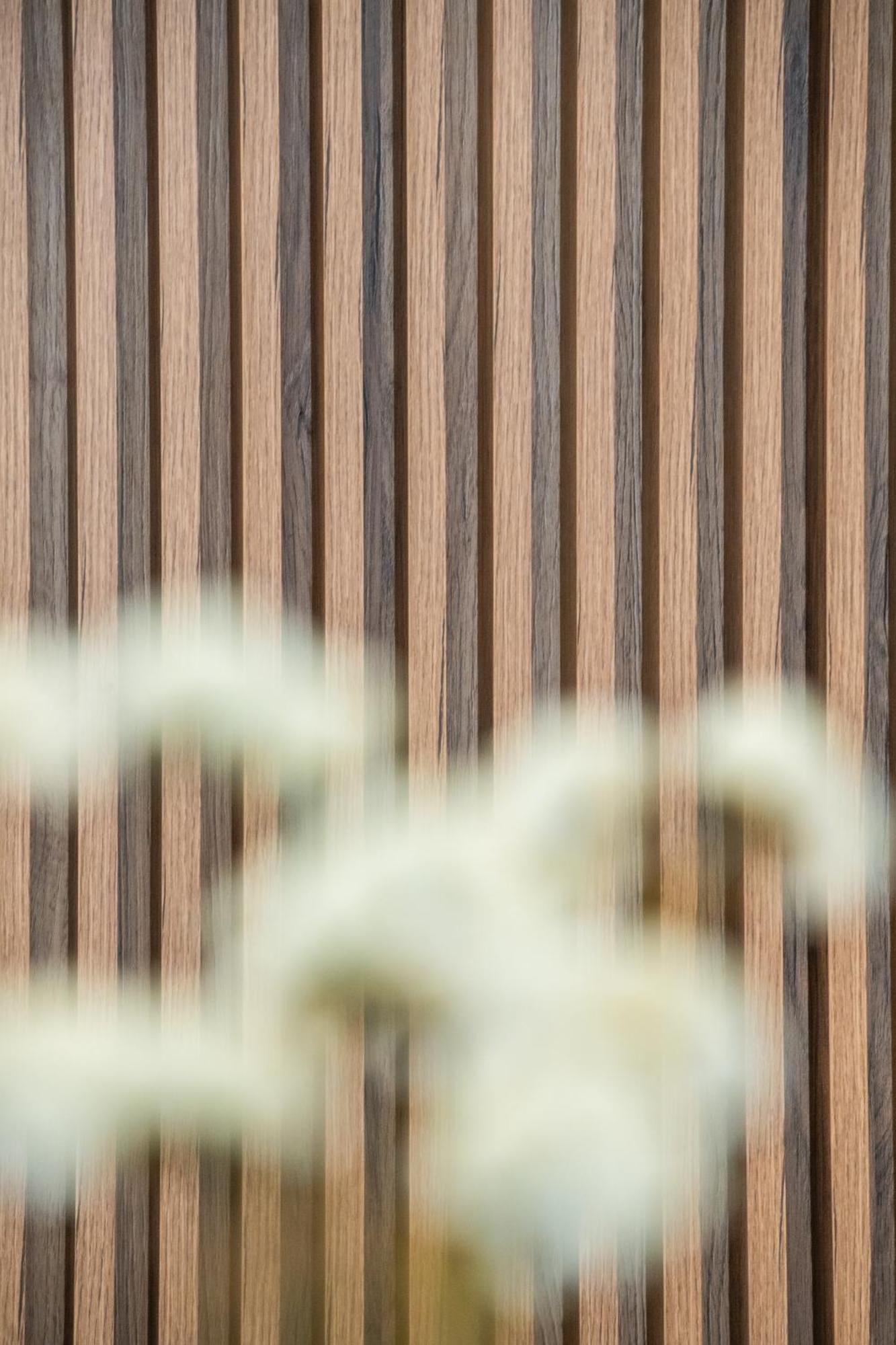 Apartamenty Balijskie Gliwice Buitenkant foto
